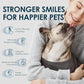 Mooncat Dental Finger Wipes for Dogs & Cats - Easy Teeth Cleaning to Remove Plaque, Tartar & Freshen Bad Breath - Gentle Tooth Wipes for Puppy & Kitten Care - 40 Counts