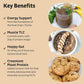 KOS Organic Plant Based Protein Powder, Chocolate Peanut Butter - Delicious Vegan Protein Powder Meal Replacement - Keto Friendly, Gluten Free, Dairy Free & Soy Free - 2.4 lbs, 28 Servings