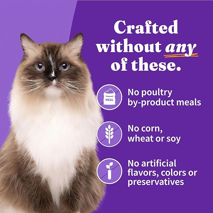 Halo Wet Cat Food Variety Pack, Three Canned Wet Cat Pate, Chicken, Turkey & Whitefish, 5.5 Oz Can (Pack of 12)