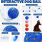Dog Balls: Interactive Dog Ball Auto Rolling - Interactive Dog Toys for Aggressive Chewers - Bouncy & Throwable, Type-C Rechargeable, Washable, for Small & Medium & Large Dogs – Blue