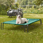 Pettycare Elevated Outdoor Dog Bed - Small Dog Cot, Waterproof, Cooling with Teslin Mesh, Non Slip, Up to 35 lbs, Green