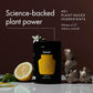 WelleCo The Super Elixir Daily Greens Powder, Probiotic Drink Mix with Whole Foods, Gluten Free, Vegan Gut Health Powder, Energy, Immunity, Healthy Skin, Hair & Nails (300g, Lemon Ginger)