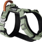 MADE TO ROAM Premium Explorer Harness - Y-Shaped Dog Harness with Adjustable Durable Nylon, Soft Padding, Metal Buckles and Leather Handle for Small, Medium, Large Dogs (Washington Rain, Size 2)
