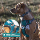 Embark Adventure Dog Harness, Reflective Trim No Pull Dog Harness Medium Sized Dogs - Military Grade Nylon, Front Clip with Gel Lined Handle.