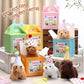 20 Pcs Mini Plush Dog Bulk 4 Inch Small Stuffed Puppy Set Include 20 Adopt a Pet Kraft Paper Boxes and 20 Cute Cone Hats Soft Dog Animals for Kids Birthday Adopt a Puppy Favor Gifts