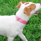 Mikivery Nylon Dog Collar with Quick Release Buckle Soft Adjustable Sturdy for Small Medium Large Dogs Pink,M