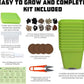 10 Herb Seeds Garden Starter Grow Kit with Green Pots, Markers, Nutritional Soil, Watering, Herb Clipper, Complete Indoor Potted Plant Growing Set for Kitchen DIY