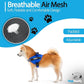 PawPawify Custom No Pull Dog Harness with Name and Phone Number, Heavy Duty Personalized Pet Vest to Prevent Tugging, Pulling, or Choking, Training and Walking (New Blue, XS (5-9LBS))