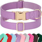 PET ARTIST PU Leather Dog Collar, Bright & Stylish Purple Dog Collar Girl with Quick Release Gold Metal Buckle, Soft Nylon Padded Durable Pet Collars Adjustable for Small Dogs, Neck Fit 9-14"
