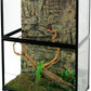 REPTIZOO 135 Gallon Glass Reptile Terrarium Tank, 36" x 18" x 48" Wide & Tall Reptile Terrarium, Chameleon Cage with Sliding Front Door Top Screen Ventilation, Easy Assembly