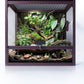 MagicCube 18'' x 18'' x 18'' Reptile Tank with Lock, 24 Gallon Reptile Terrarium with Flip-Up Tempered Glass Door, Top Screen Ventilation for Leopard Gecko - Bottom Not Leakproof