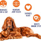 iHeartDogs Salmon Oil for Dogs and Cats - Nourishing Skin & Coat Omega 3 Fish Oil for Dogs Supports Allergy & Itch Relief, Heart Health and Joint Health - 32 oz