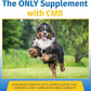 Hip & Joint Supplement for Dogs & Cats with Cetyl Myristoleate, Glucosamine, Collagen, MSM - Advanced Joint Support for Mobility, Senior Pets, Small & Large Breeds - 60 Chews (Pork Liver)