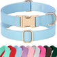 PET ARTIST Soft PU Leather Dog Collar for Medium Dogs, Bright & Classic Nylon Padded Durable Dog Collar Leather with Quick Release Metal Buckle Adjustable for Male Dogs, Neck Fit 13-19"