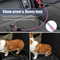 Dog Seat Belt Harness for Car,Dog Seatbelt of Coated Wire Leash Safety Restraint,No Chew Tether Cable Vehicle,Double Clips & Latch(Purple, 16 inch/40 CM)