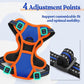 rabbitgoo Dog Harness No Pull with 2 Leash Clips, Adjustable Soft Padded, Reflective Oxford No Choke Pet Vest with Easy Control Handle for Puppy, Blue & Orange, XS