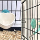 Choco Nose Patented No-Drip Water Bottle/Feeder and Detachable Food Dish Set for Puppies/Toy Breed Dogs/Rabbits/Cats/Chinchillas and Other Small Pets and Animals 10.2 Oz Nozzle 13mm, Aqua(C528 C607)