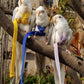 Pet Parrot Bird Harness Leash Adjustable Bird Flying Harness Traction Rope with Cute Wing for Parrots Pigeons Budgerigar Lovebird Cockatiel Mynah Outdoor Training Toy (S, Purple)