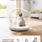Meowant Self Cleaning Litter Box, Automatic Litter Box Self Cleaning with APP Control, 75L Extra Large Open Low Entry Smart Cats Litter Boxs for Multi-Cat Compatible Senior Cats Large Cats