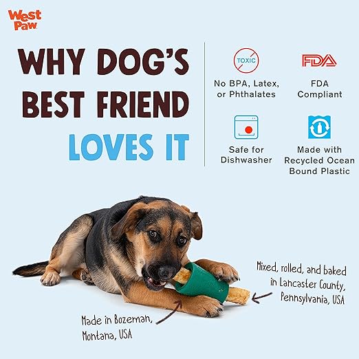 WEST PAW Funnl Dog Chew Toy - Interactive Treat Toys for Dogs - Toy Fillable with Earth Animal No-Hide Chews - Large 4.25" Kelp | Made in USA