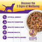 Wellness Complete Health Thick & Chunky Natural Grain Free Canned Wet Dog Food, Turkey & Duck Stew, 12.5-Ounce Can (Pack of 12)