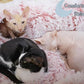XxingSheep 4 Cave Shuttled XL Cat Tunnel Bed for Indoor Cats Peekaboo Toy Donut with Warm Mat, Pinkish White