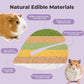 mini&moe Hamster Chew Toys for Teeth – Guinea Pig Chew & Treats Natural Edible Apple Wood Sticks Improve Dental Health Hamster Enrichment Toys for Rabbit, Bunny, Chinchilla, Gerbils, Rat