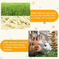 kathson 4 Pcs Bunny Chew Toys for Teeth,Rabbit Hanging Chew Toy Grinding Natural Sweet Bamboo Sticks with Timothy Hay Grass and Carrot Cake for Improve Rodent Small Animals Dental Health
