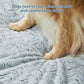 WNPETHOME XL Extra Large Dog Bed, Washable Dog Couch with Removable Waterproof Cover, Orthopedic Large Pet Sofa Bed with Bolster Sides for Sleeping