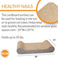 K&H Pet Products Cat Scratcher Kitty Window Sill Bed & Hammock, Sturdy Cat Perch for Large Cats