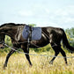 Soft Padded Lunge Line Rein Lead for Horses 27ft Looped Handle Swivel Clip (Navy/Wine)