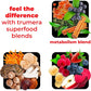 Superfood Reds Powder Packs - for Immune Support and Memory I Reds Superfood Powder Antioxidants Polyphenols Blend with Organic Acai Berry, Goji Berry, Pomegranate - 14 Sachets