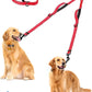 PetBonus Double Dog Leash, No Tangle Dual Leash, Reflective Walking Training Lead, 4 Comfortable Padded Handles for 2 Dogs with Collapsible Bowl and Waste Bags (Red, Large)