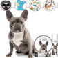 The Blissful Dog Blue French Bulldog Nose Butter, Versatile Dog Nose Balm for Dry Nose, Handcrafted Nose Moisturizer, Easy-to-Apply Dog Essentials, Unscented, 1 oz.
