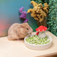 Niteangel Hamster Snack & Treats Toy - Small Animal Natural Treat for Dwarf Syrian Robo Hamsters Gerbils Mice Lemmings Degus or Other Small-Sized Pets