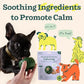 WOOF Pupsicle Refill Pops for Calming - Calming Dog Treats - Long-Lasting Refills for The Pupsicle Toy to Promote Calm - Magnesium for Dogs- Small Pops - 10 Count