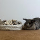 31PCS Rabbit Chew Treat Toys for Teeth Health, Natural Bunny Enrichment Toys for Boredom & Stress Relief, Keep Busy Toys for Guinea Pig Chinchilla Hamster Rat Gerbil Degu Indoor Outdoor