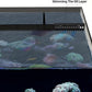 Landen 60P 26.23 Gallon Ultra Clear All Glass Rimless Low Iron Aquarium Tank with Rear Filtration Chamber for Salt and Fresh (Return Pump Included) 23.6Wx17.7Dx15.8H in(60x45x40cm) 8mm Thickness