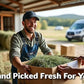 Blue Mountain Hay | Fresh 2nd Cutting Timothy Grass Hay (10 Pounds) | Soft & Leafy, Balanced Nutrition | High-Altitude Hay Pet Food for Adult Rabbits, Guinea Pigs, Chinchillas, and Other Small Pets