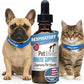 PetSilver Immune Support - Promotes Respiratory Health in Cats & Dogs, Sinus & Kennel Cough Treatment, Natural Antibiotic, Allergy Relief, Chelated Silver Formula, Easy-to-Use Dropper, USA - 2 fl oz