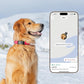 New Fi Series 3+ Smart Dog Tracker Collar – AI GPS for Dogs, Health & Behavior Monitor, Virtual Fence, Escape Alerts, Waterproof, Apple Watch Compatible 12Mo Membership Included
