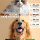 5-in-1 Cat Hair Brush, Dog Grooming Steam Comb for Long Short Haired Indoor Cats Spritz Comb for Deshedding, Detangling, Pet Brush for Kitten Rabbit Massage, with 3 Essence Liquid