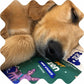 NATPAT Pet Zen Calming Patches for Dogs & Cats – Non-Medicated Effective Stress Relief for Travel, Fireworks & Separation Anxiety - Long Lasting & Non-Toxic (24 Patches) - Locket Sold separetely