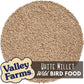 Valley Farms White Millet Wild Bird Seed (5LB) for Outside feeders, White proso Millet, Bird Watcher Secret Wild Bird Food to Attract Colorful Painted Buntings in Southern USA