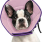 Dog Cone Collar M, Soft Cones for Large Medium Small Dogs,Adjustable Dog Cone Alternative to Stop Licking, Comfy Elizabethan Collar for After Surgery Wound Healing & Hot Spots Purple