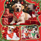 Preboun 200 Pcs Holiday Dog Bandanas Bulk Fall Halloween Christmas Bandanas for Dogs Triangle Kerchief Bib Scarf Set for Pet Party Costume Photo Props Accessories Pet Shops Groomers, 25 Styles