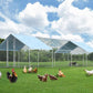 1.26’’ Large Metal Chicken Coop Walk in, Chicken Pen for Chickens, Outdoor Chicken Runs Coops Dog Kennel, Spire Roofed Chicken Runs for Yard with Anti-Ultraviolet Cover (9.8’Lx26.2’Wx6.4’H)