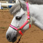 T TEKE Adjustable Horse Halters by Heavy Duty Soft Nylon, Padded with Anti-rubbing Waffle Neoprene on Both Crown & Nose