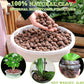 Halatool 6LB Natural Expanded Clay Pebbles for Plants 4mm-16mm Hydro Balls for Aquarium Indoor Potted Plants Premium Hydroponic Growing Media Clay Balls for Hydroponics Aquaponics