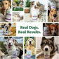 Doggie Dailies 5 in 1 Multivitamin for Dogs, Dog Multivitamin for Skin and Coat Health, Joint Health, Improved Digestion, Antioxidants, Support a Healthy Immune System (Peanut Butter) 225 Soft Chews